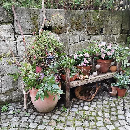 Apartament Auszeit Freital Zewnętrze zdjęcie