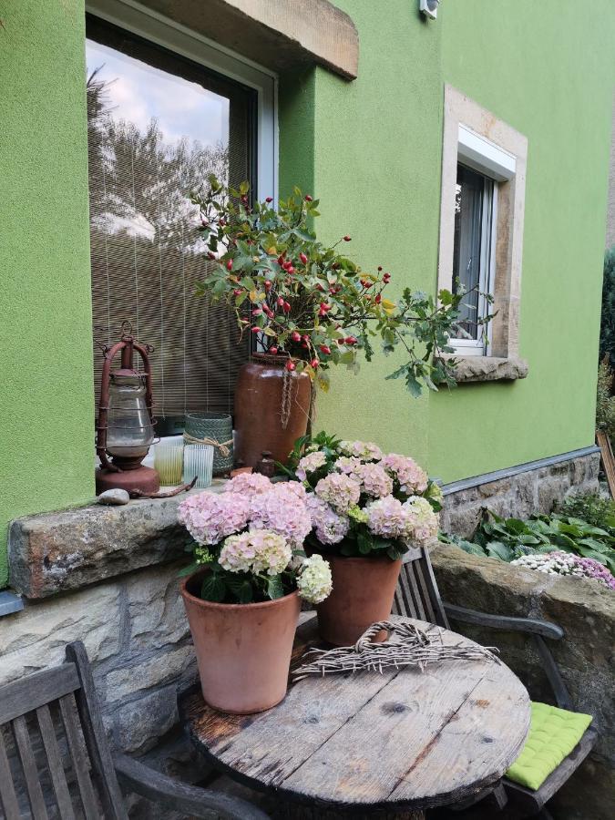 Apartament Auszeit Freital Zewnętrze zdjęcie