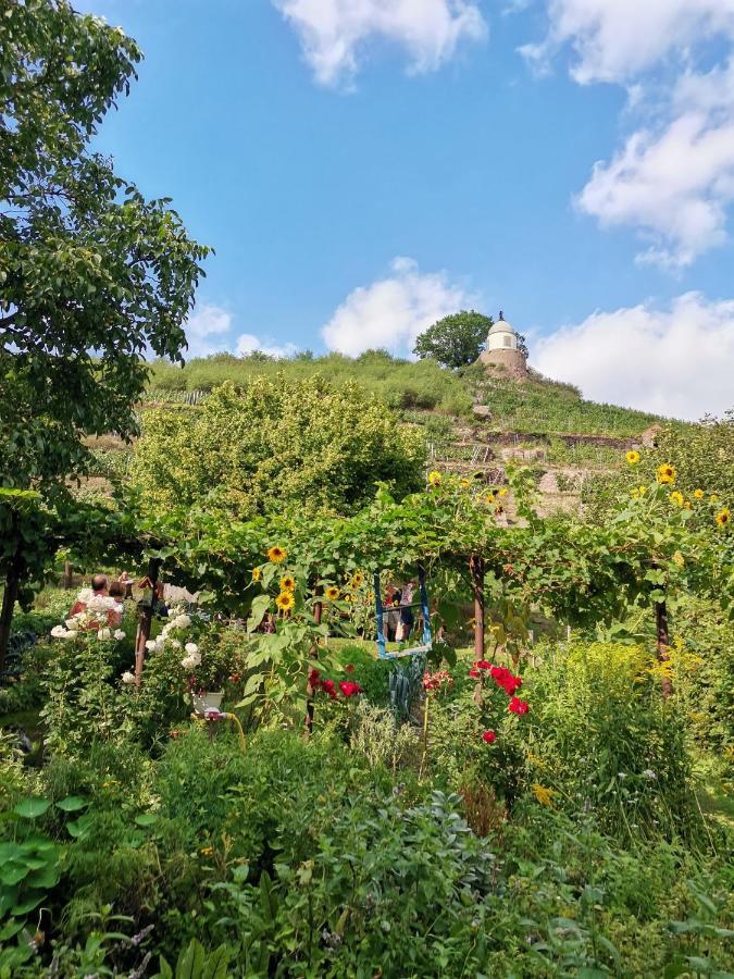 Apartament Auszeit Freital Zewnętrze zdjęcie