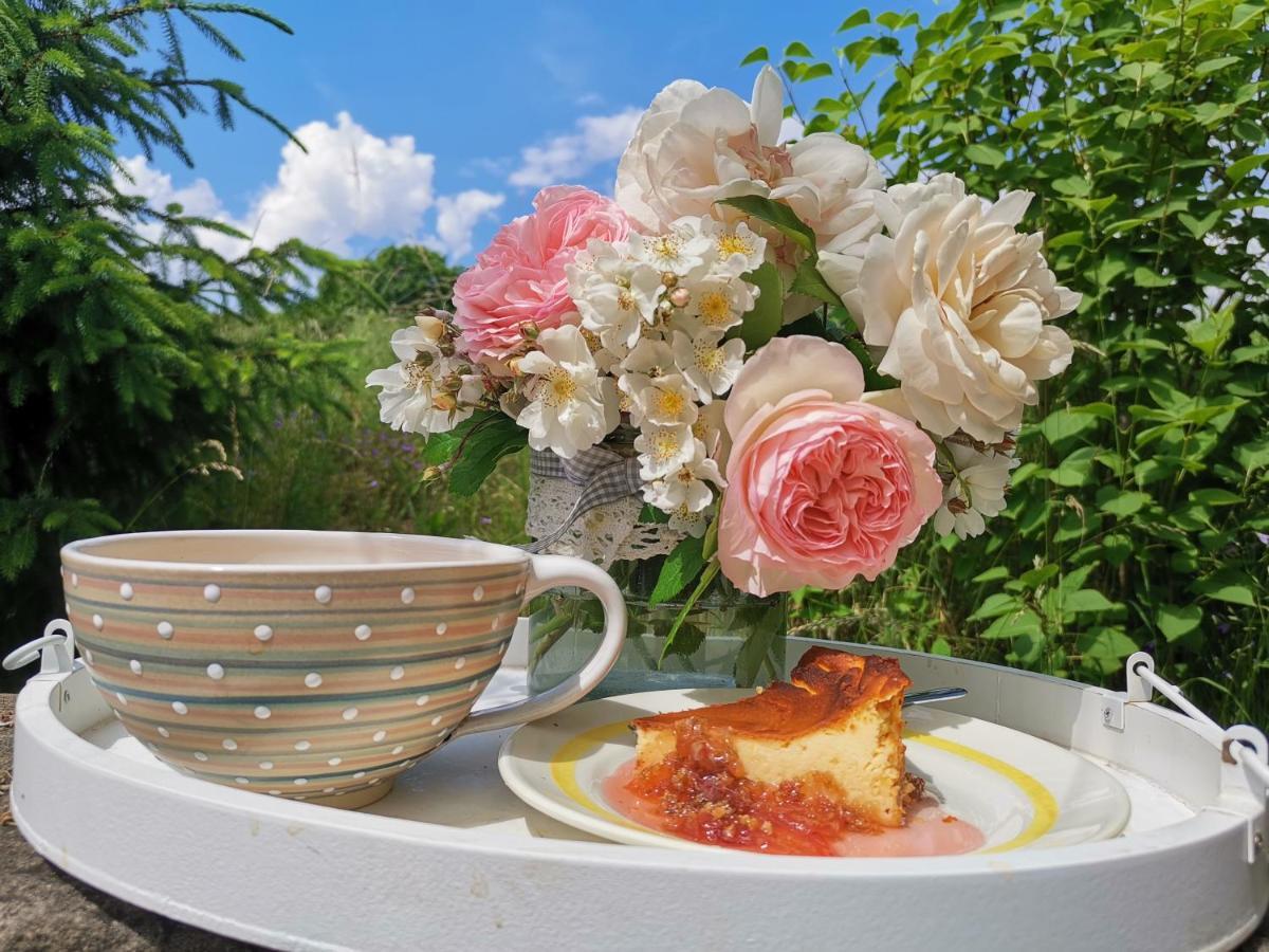 Apartament Auszeit Freital Zewnętrze zdjęcie